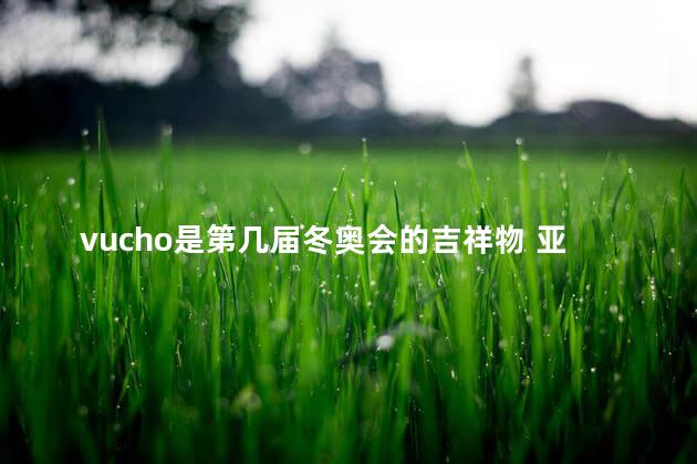 vucho是第几届冬奥会的吉祥物 亚洲首位冬奥会上获得奖牌